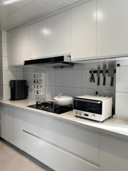 Matte Anti-Scratch Lacquered Hygienic Kitchen Cabinet With Gallery Lighting