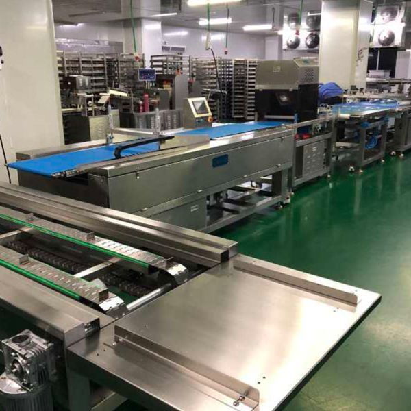 Multiple Lanes Horizontal Pan Arranging Optional Food Machine Line 304 CE