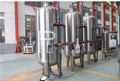 Stainless Steel 304 20tph Borehole Drinking Ro Water Filter Plant Machine