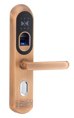 Fechaduras da porta biométricas Keyless exteriores da impressão digital com Deadbolt
