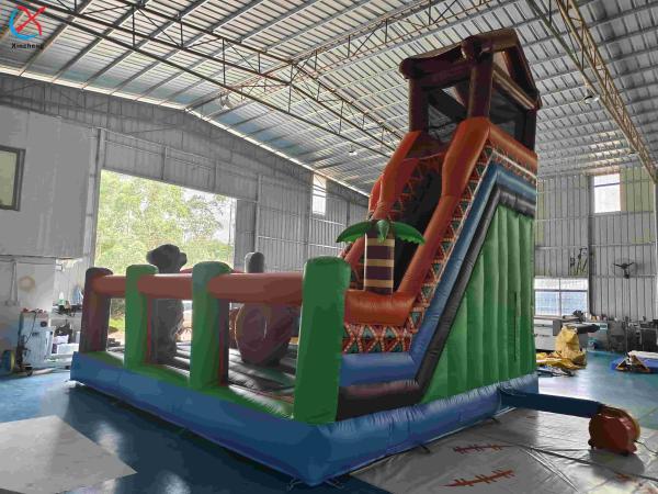 Inflatble Exotic Bouncy House With Internal Slide Combo Jumping Castle