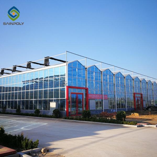 Alloy Transparent 9.6m Commercial Glass Greenhouse