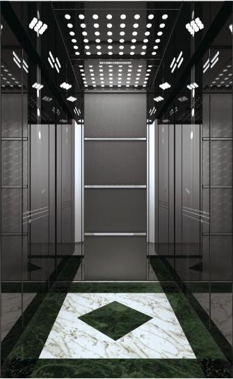 Stainless Steel Residential Passenger Elevator With Monarch Control System
