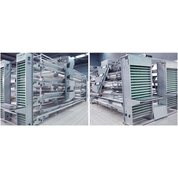 Large Capacity Poultry Egg Farm Equipment A Type Hot Dip Galvanized Steel