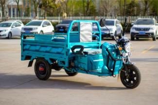 48V / 60V 1000W camion tricycle électrique pour les passagers