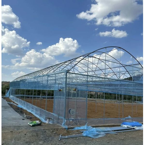 Multi-Span Film Greenhouse for Vertical Farming Package Size 50.00cm * 60.00cm * 50.00cm