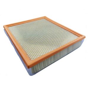 Customizable Ford Air Filter LC3Z9601E FA1951 101019DG FA-1950 OEM Services