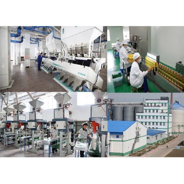 CAS 8000-29-1 Antioxidant Citronella Extract Oil