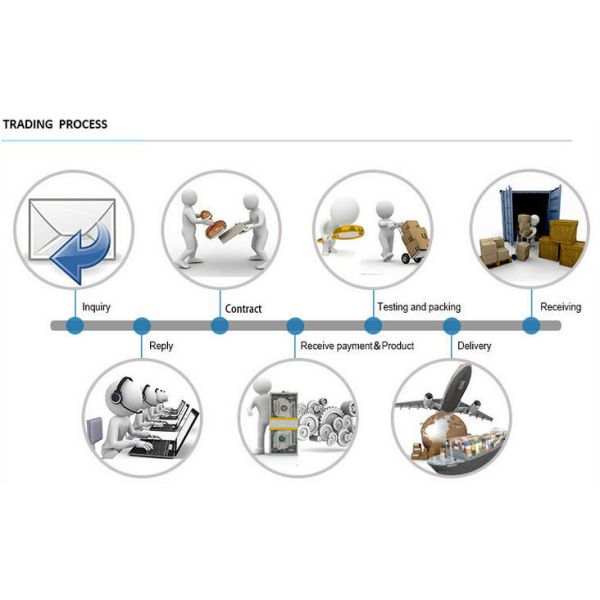 Endodontic Materials For Dentist Use Gutta Percha Points With 06 Taper 15-40 Size