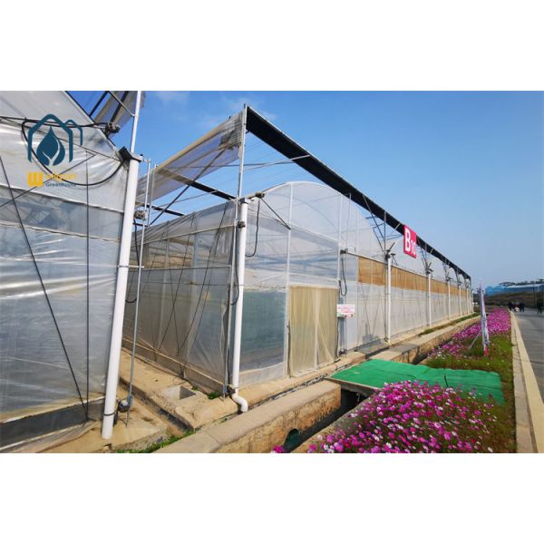 Full Enclosure Insect Protection Multi Span Greenhouse with 60 Mesh Fine Netting...