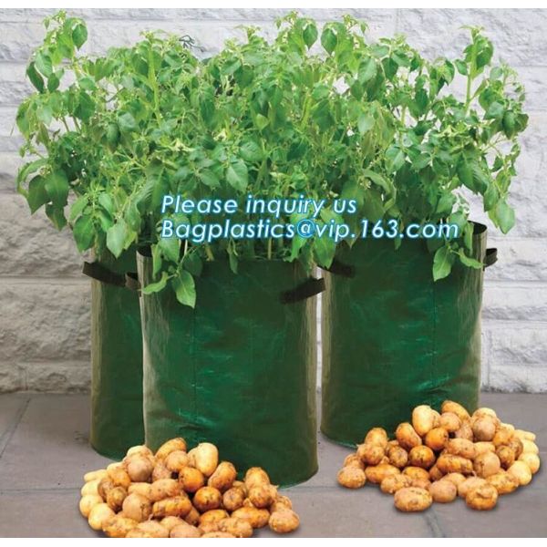 100 дерево тан галлона /200/300 растет сумка 100галлон растут сумка для деревьев завода, овощей растут сумки засаживая сумки растя сумки