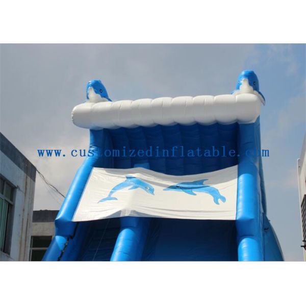 Blue Dolphin Inflatable Rental Water Slides Bounce House For Big Kids / Teenagers