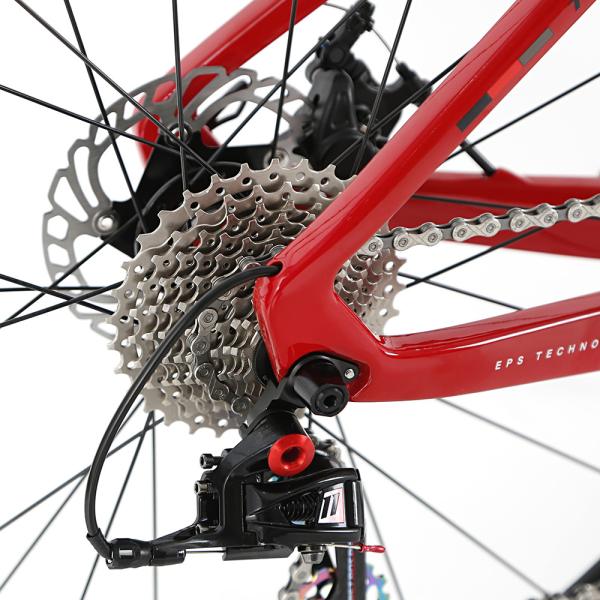 TWITTER R10 Carbon Fiber Road Bike 12x142mm Thru Axle Disc Brake Gravel Bicycle