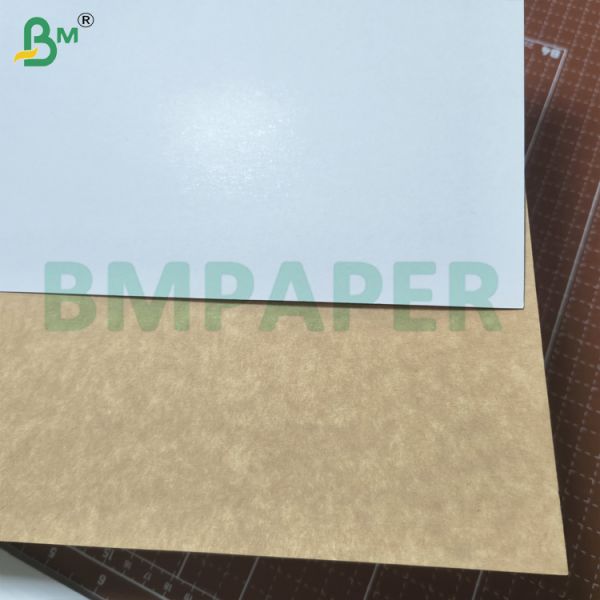 200-360gsm Food Grade Single Side Coated White Top Kraft Paper Low Temperature Resistant For Food Packaging