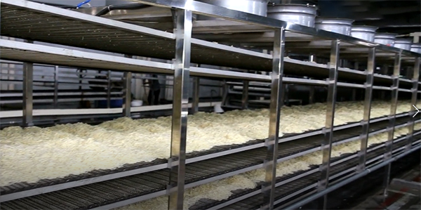 Automatic PLC Fresh Noodle Production Line Equipment 380V 50HZ