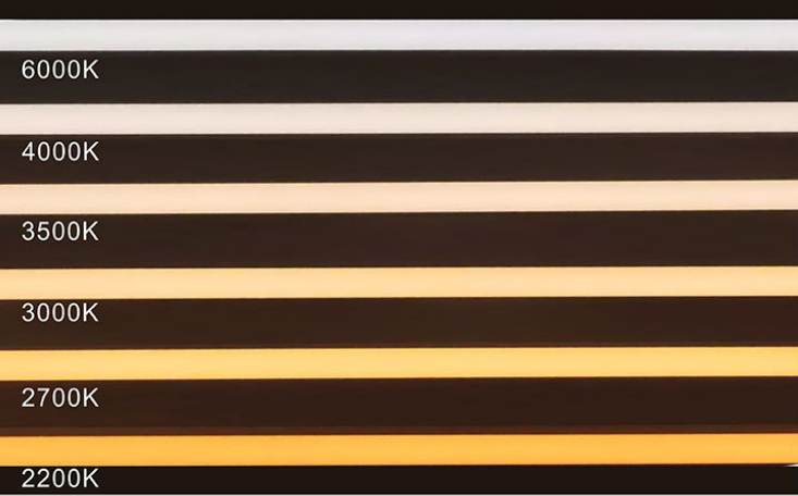 Нашивки 12V/24V DC мягкие неоновые 120LEDs/M для крытого/на открытом воздухе неонового света силикона 24V СИД