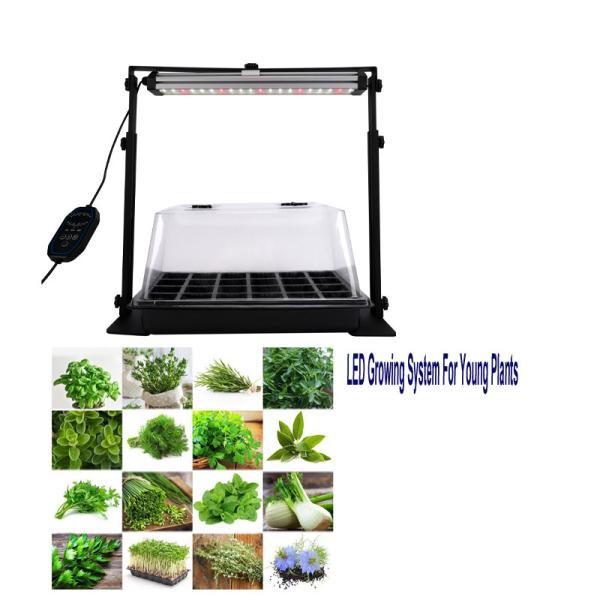 110-277VAC Hydroponic Growing System For Kitchen Garden Energy Efficient