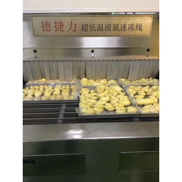 Ультра низкий замораживатель 2800kg/H 4600kg комода жидкого азота Ss304