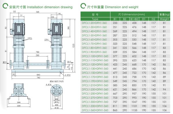 East Dfcl+Dfh High-Pressure Dual Pump Centrifugal Pump Water Pump
