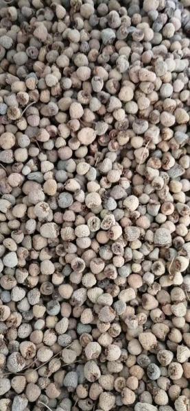 Hot Sale Chinese Herb Fu Pen Zi Liver Kidney Deficiency Remedy