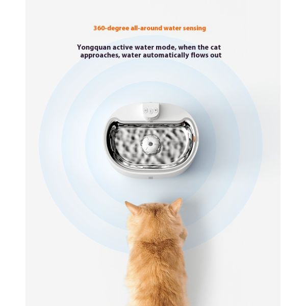 Modern App-Controllable Automatic Cat Dog Water Dispenser Eco-Friendly Battery Operated Pet Fountain with Filter for Puppies