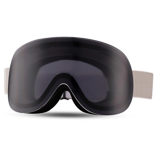 Windproof No Fog Ski Goggles Adult Snow Goggles For Men And Women Anti Freeze Sun Protection