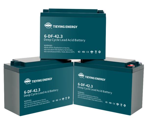 Tricycle électrique rechargeable 12v batterie au plomb 42.3Ah 6-DF-42.3