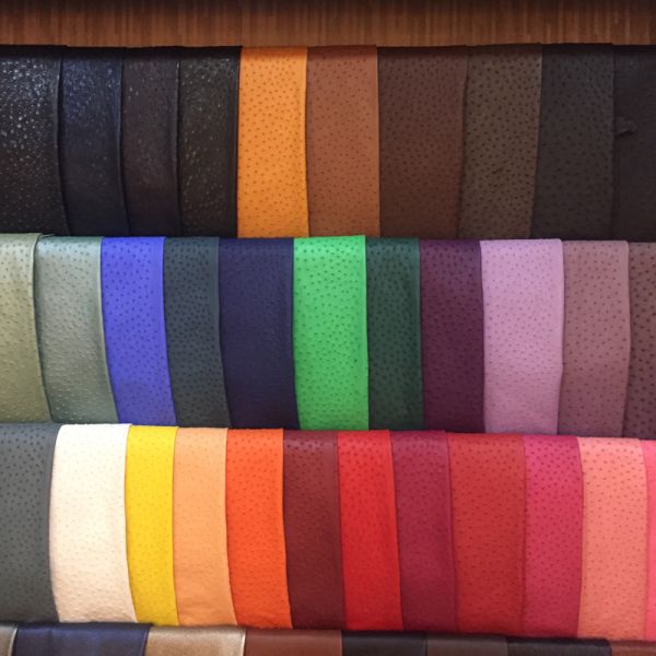 Authentic Real True Ostrich Skin Men Small Leisure Purse Genuine Leather Shoulder Bag Male Casual Mini Crossbody Bag