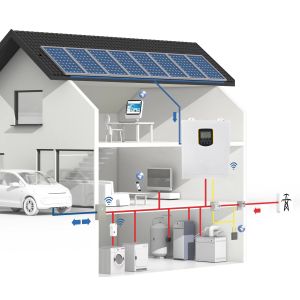 2500W 24V Low Voltage Battery Pure Sine Wave MPPT Inverter Single Phase High PV Input 500Vdc Off Grid for Remote Area