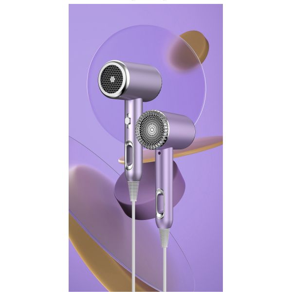 Hotel Household High Speed Hair Dryer Air Styler Salon Hot Air Brush with Metal Body