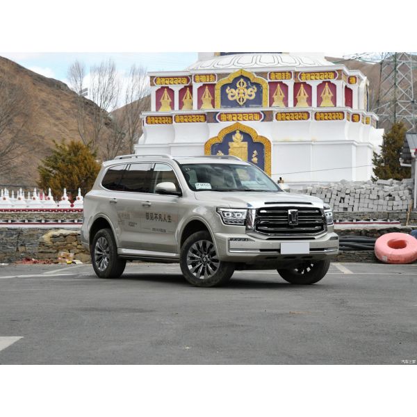 Бензиновые бензиновые гибридные автомобили 3.0T спортивная версия построена 5 мест Золотой бак 500 2023