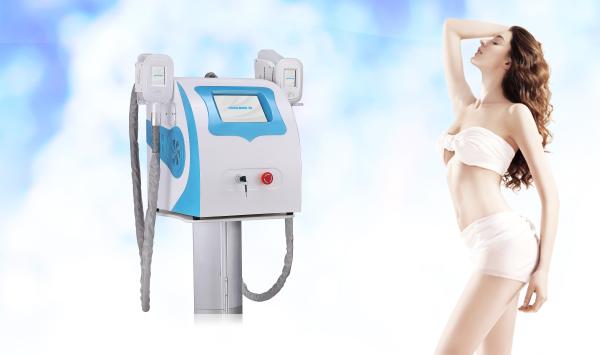 Portable Cryolipolysis Slimming Machine , Double Handles Fat Freezing Device