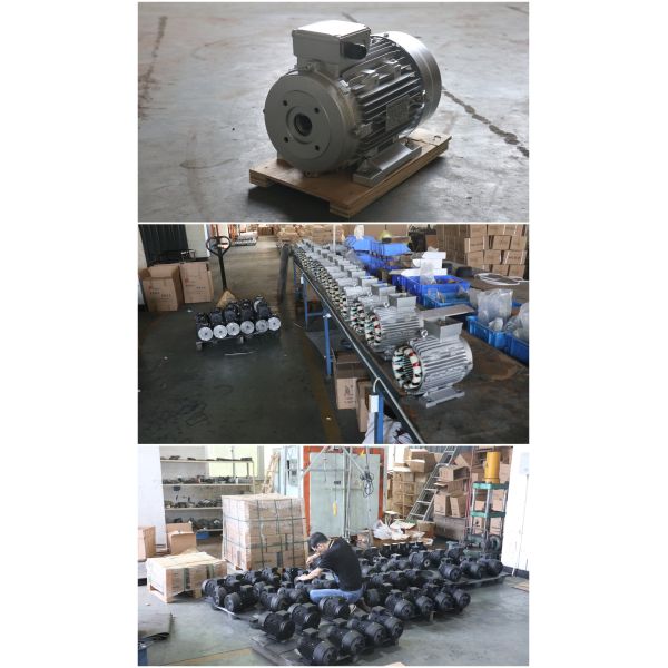 Мотор моторного вагона полого вала 2.2KW 3HP для стиральной машины