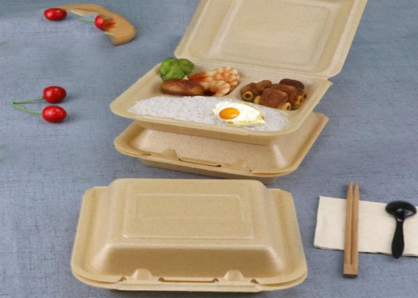 Biodegradable Corn Starch Disposable Foam Food Containers Lunch box Cup