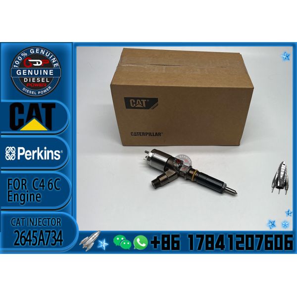 Common Rail Injector 306-9380 Fuel Injector Assembly 320-0680 2645A747 2645A734 For CAT Engine C6.6 C4.4