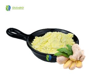 Ginger Extract Powder 1%-20% Gingerol