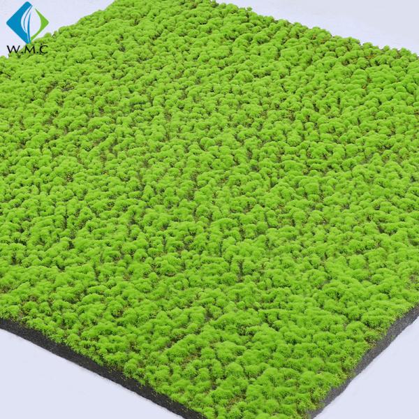Moss Panel Type Artificial Vertical Garden , Hedge Boxwood Grass Wall