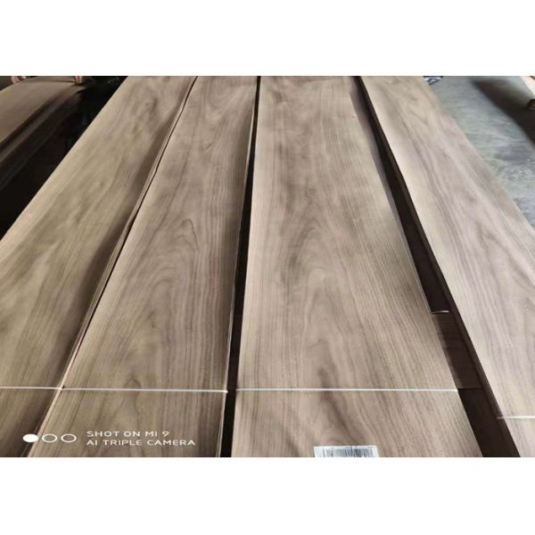 10 - 16% MC Crown Cut Natural Walnut Plywood Sheets