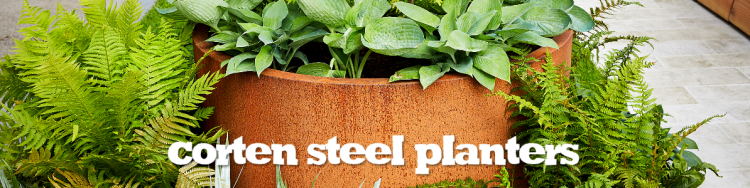 Баки сада цилиндра Corten декоративных плантаторов цветка металла круговых стальные