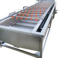 Lavadora automática de frutas 400 kg 500 kg/h Lavadora de burbujas de vegetales