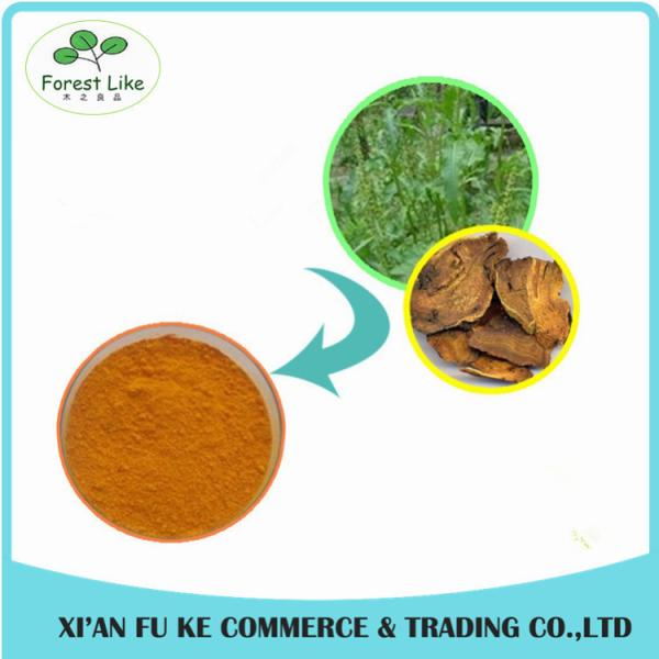Traditional Chinese Herb Medicine Anti-tumor Product Dried Rhubarb Extract