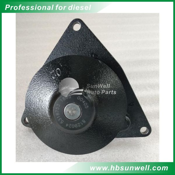 Cast Iron 6CT Diesel Cummins Water Pump 5318753 4376359 5346205 3973114