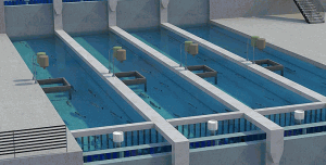 Интерес стерилизатора нержавеющей стали ультрафиолетов для водоочистки бассейна