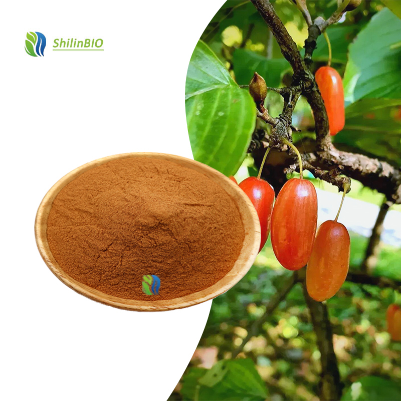 SLBIO Supply 10:1 20:1 Cornus Officinalis Fruit Extract Powder Food Grade Water Soluble Plant Extract
