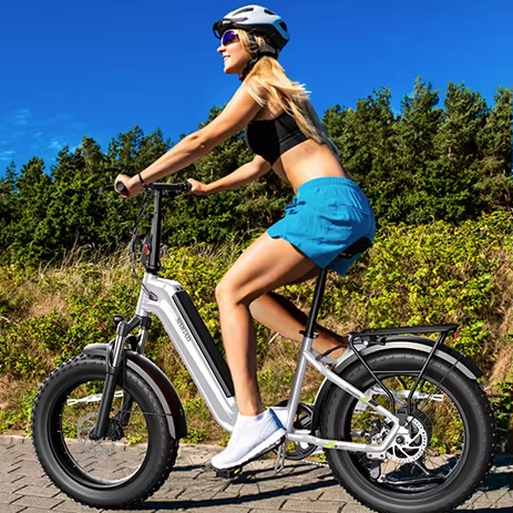 Electric Folding Bike 48V 750W 20x4.0 Fat Tire E-bike Lockable Suspension  Urban Foldable Bicycle