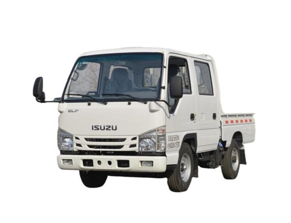 Factory Small Delivery Truck 4X2 Mini Diesel ISUZU Double Row Light Cargo Truck