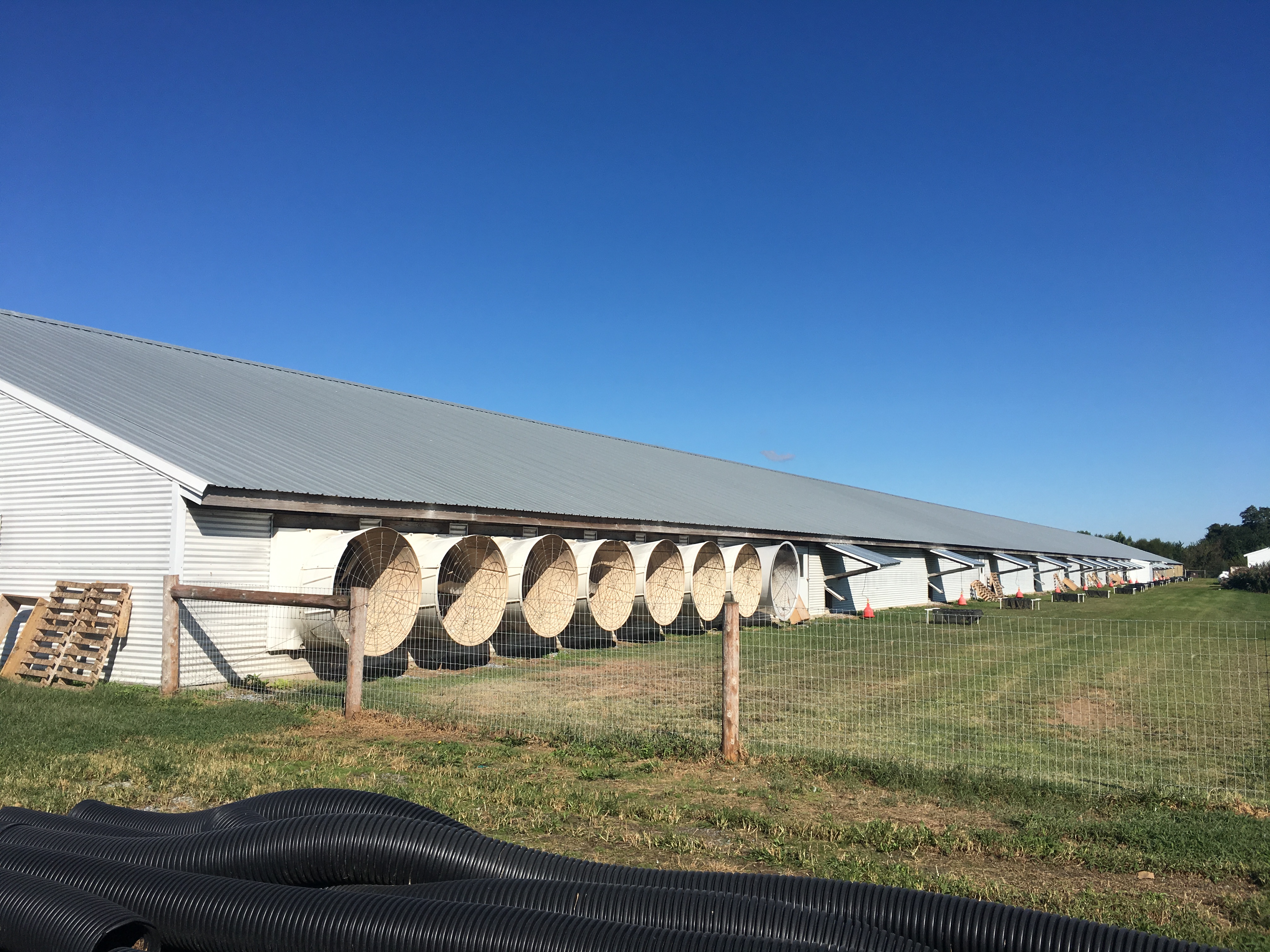 Окрашенная стальная конструкция птицекомнат