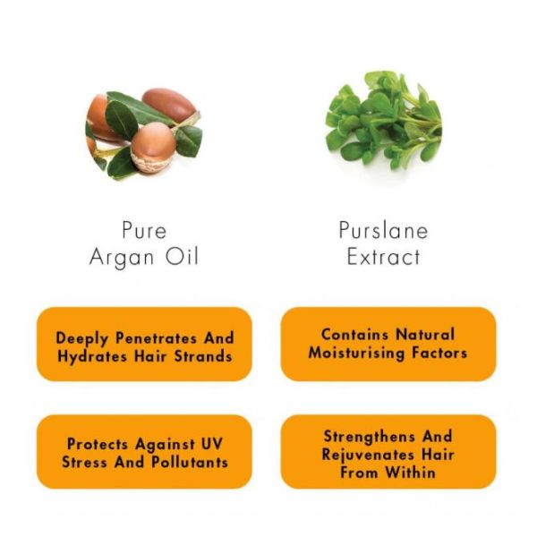 SLS Free Argan Oil Hair Treatment Hydrating Shampoo For Dry & Damaged Hair