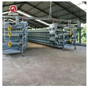 30000 Birds Hot Dip Galvanized Steel H Type Battery Cages For Broiler Chicken