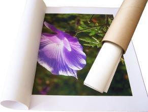 Aqueous Premium Large Format Printer Paper Roll Luster Surface Finish 115 Gsm - 260 Gsm